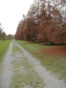 Il Parco Ferrari in novembre