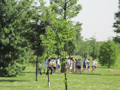 Gruppo di frequentatori dei percorsi ginnici del Parco Città di Londrina a Modena