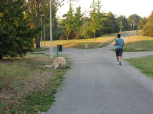 Jogging al parco