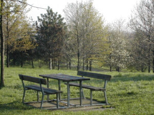 Panchine con tavolo al Parco Ferrari