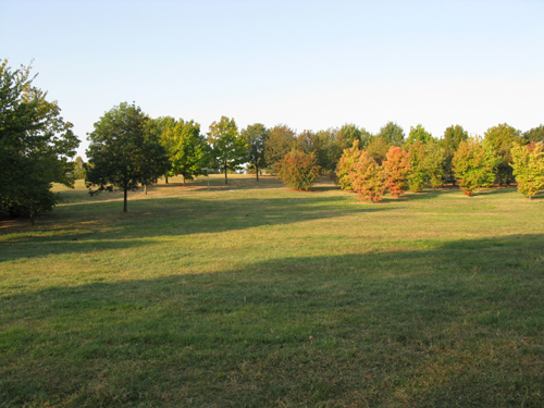 Veduta della collina al Parco Ferrari