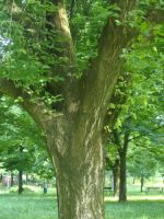 Angolo di relax al Parco Amendola nord a Modena