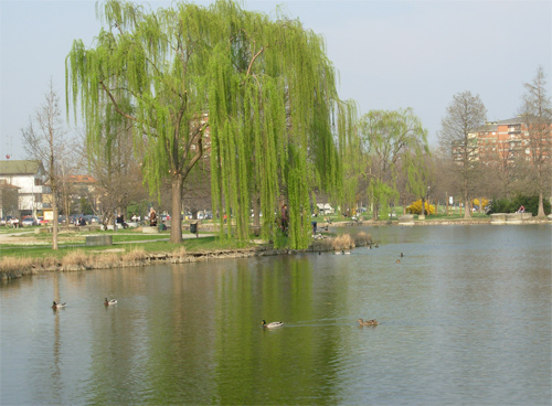 Foto panoramica del parco Amendola Sud con il laghetto